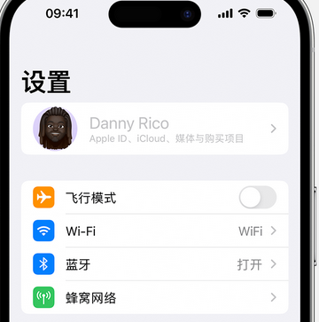 乌烈镇appleID维修服务iPhone设置中Apple ID显示为灰色无法使用 