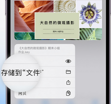 乌烈镇apple维修中心分享iPhone文件应用中存储和找到下载文件