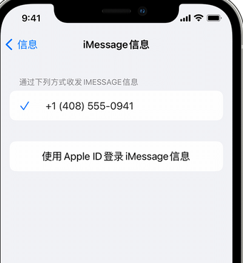 乌烈镇apple维修iPhone上无法正常发送iMessage信息 