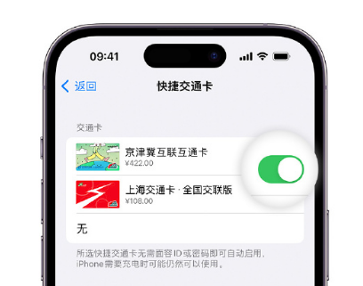 乌烈镇apple维修点分享iPhone上更换Apple Pay快捷交通卡手绘卡面 