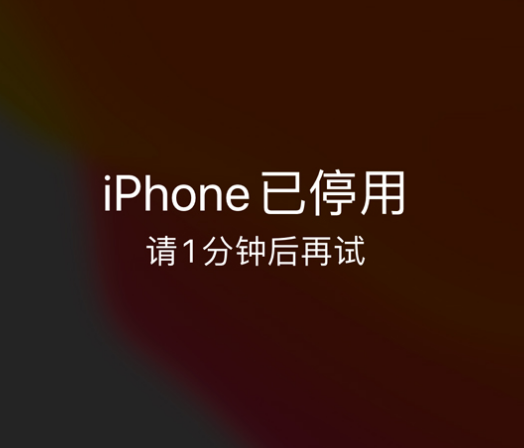 乌烈镇苹果手机维修分享:iPhone 显示“不可用”或“已停用”怎么办？还能保留数据吗？ 