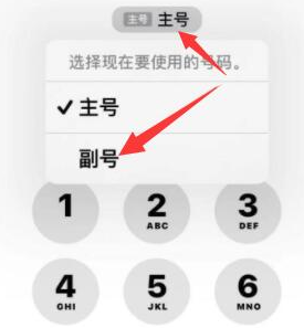 乌烈镇苹果14维修店分享iPhone 14 Pro Max使用副卡打电话的方法 