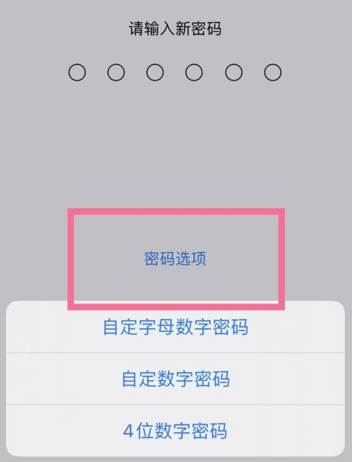 乌烈镇苹果14维修分享iPhone 14plus设置密码的方法 