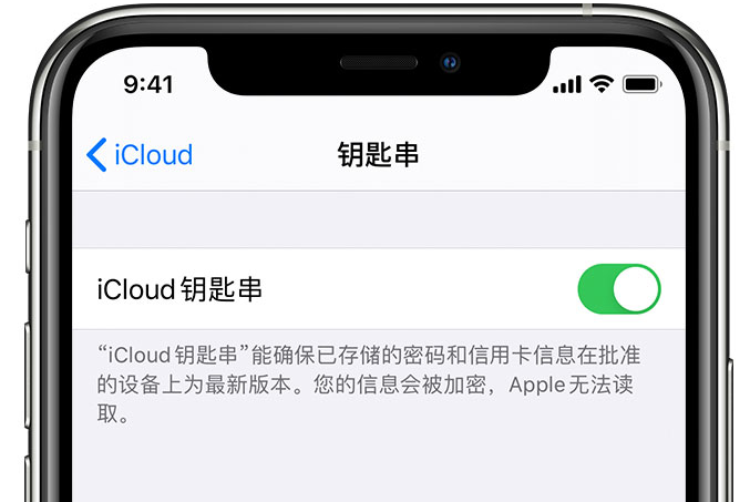 乌烈镇苹果手机维修分享在 iPhone 上开启 iCloud 钥匙串之后会储存哪些信息 