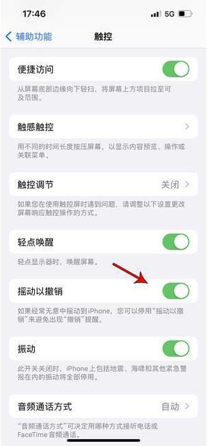 乌烈镇苹果手机维修分享iPhone手机如何设置摇一摇删除文字 