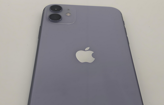 乌烈镇苹果11系统维修分享iPhone11手机系统崩溃无法开机如何解决 